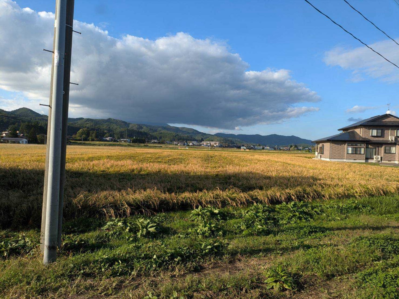 岩手県滝沢市の田園風景 — 収穫期を迎えたきらほの田んぼと山並み